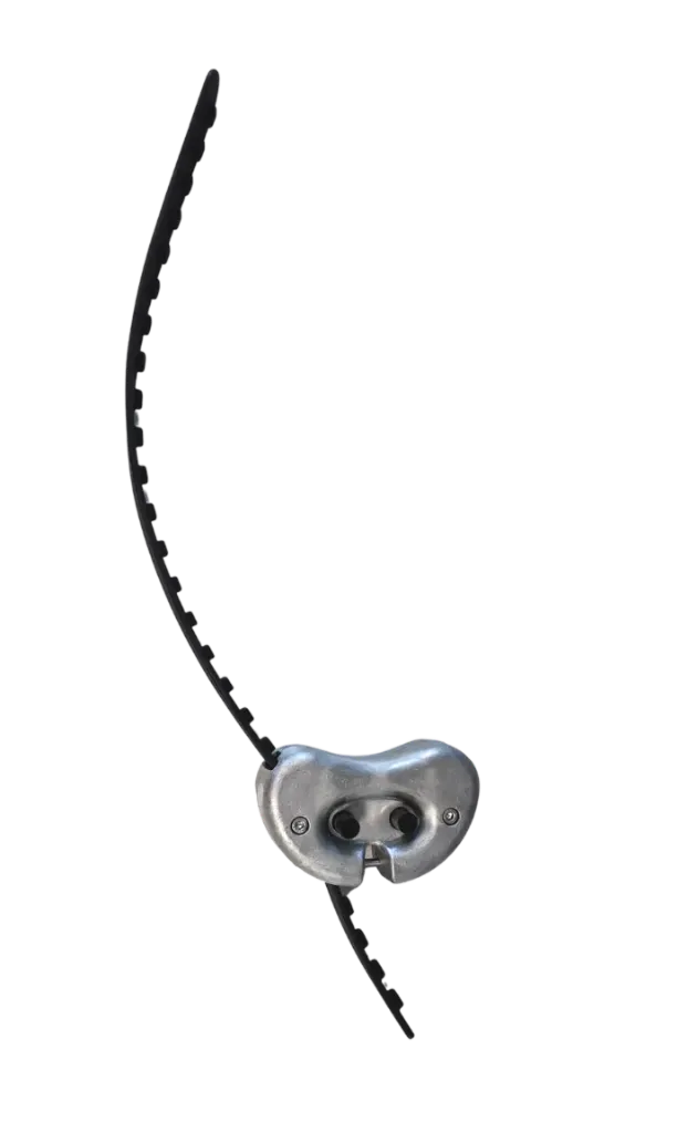 Collar extension for large animals